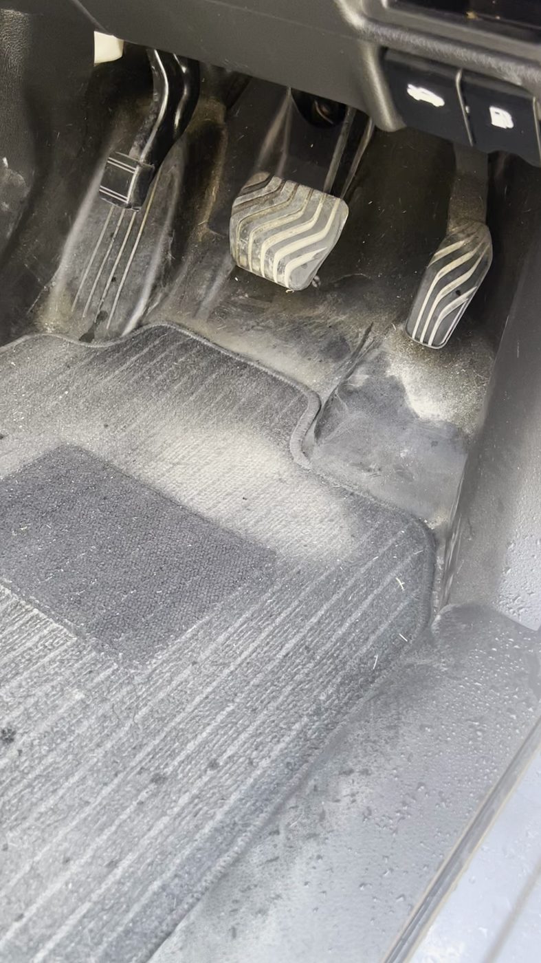 Nissan pedals before detailing